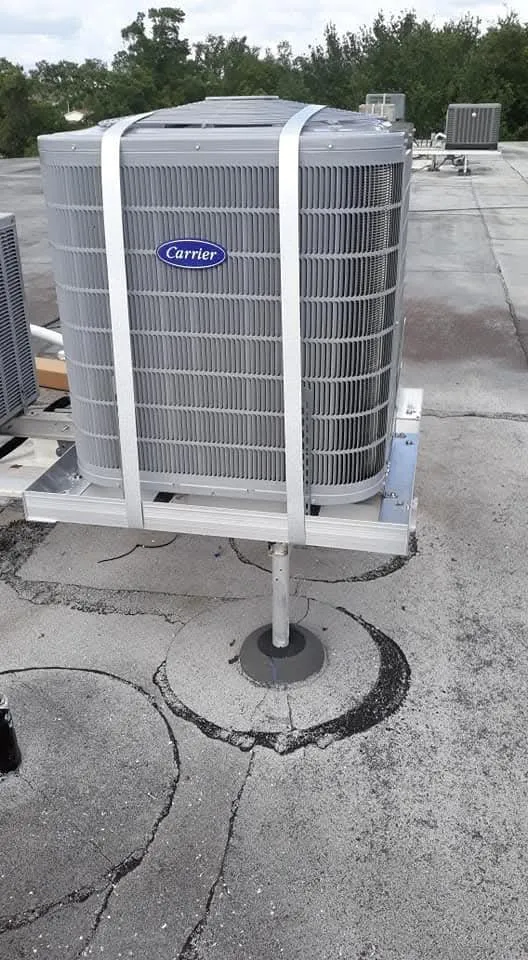 Slide of Right Diagnostic