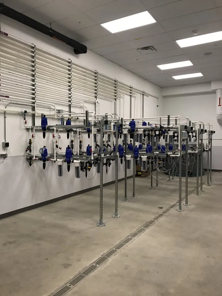 Slide of Right Way 2 Grow