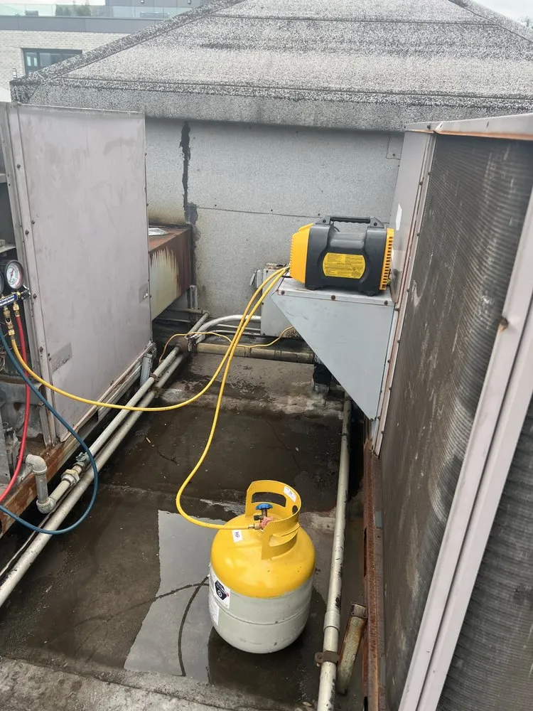 Slide of Rising Gladiators