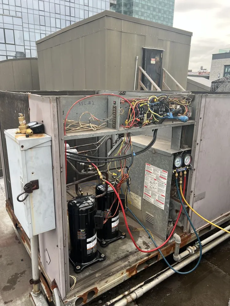 Slide of Rising Gladiators