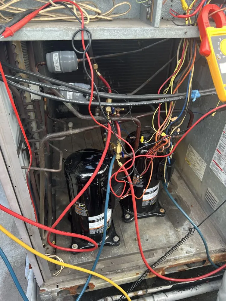 Slide of Rising Gladiators