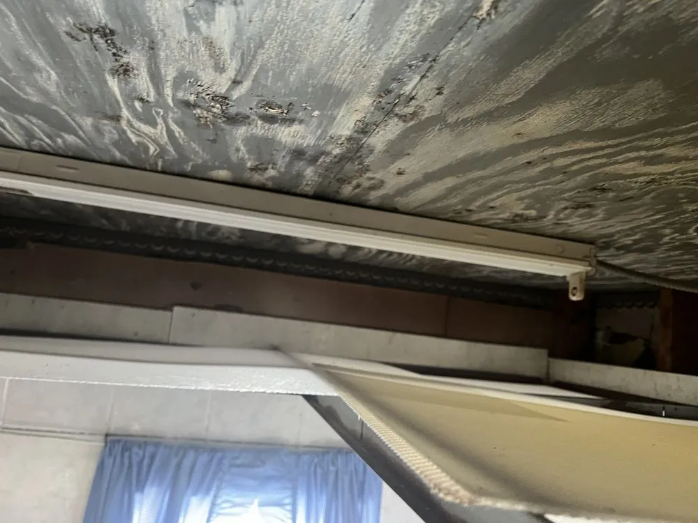 Slide of Rising Gladiators