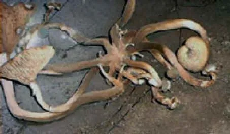 Slide of Rite-Way Heating & Air-R