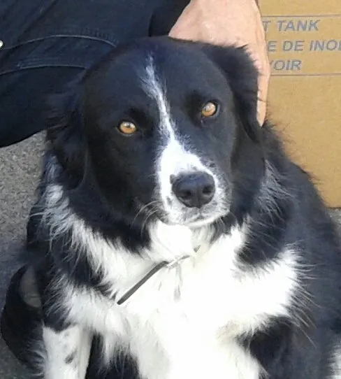 Slide of Rivers Plumbing, Heating And Air