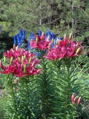 Slide of Rivers Plumbing