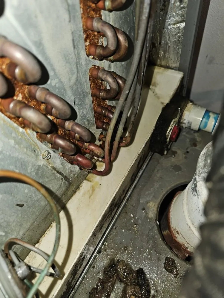 Slide of RJ Climate Solutions