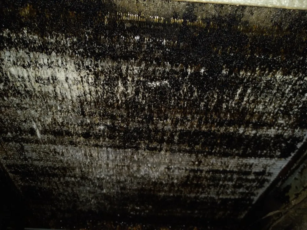 Slide of R.L General Maintenance & Repairs