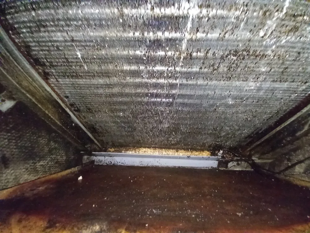 Slide of R.L General Maintenance & Repairs