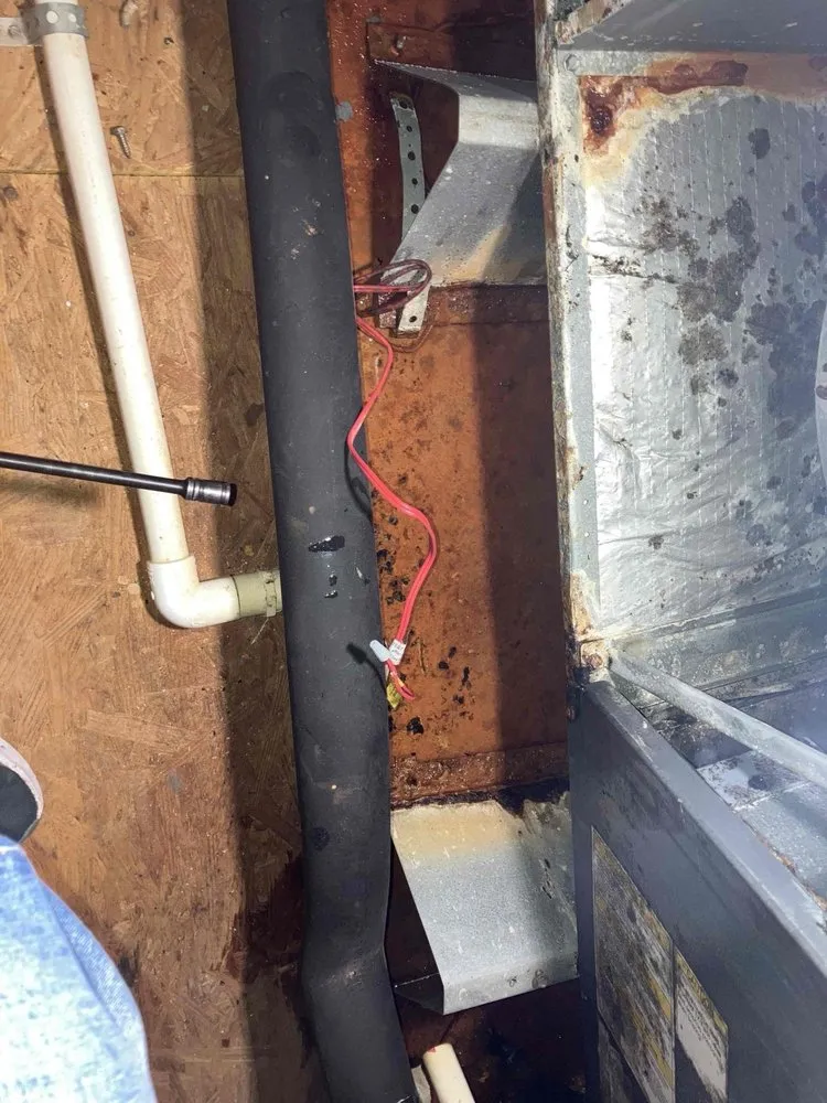 Slide of RLC Services