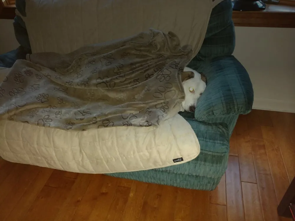 Slide of Robert A Brydon Plumbing & Heating