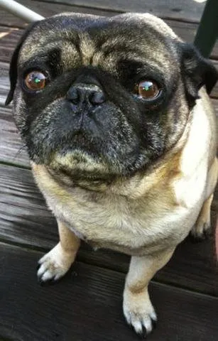 Slide of Robert Post Heating & Cooling