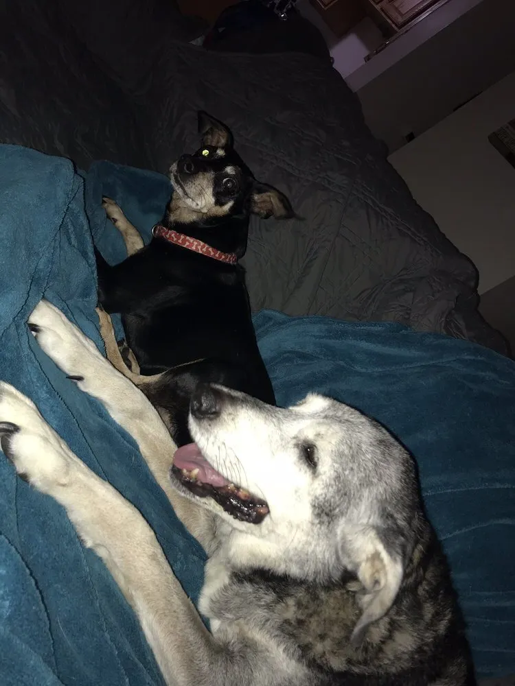 Slide of Robert's Heating and Cooling