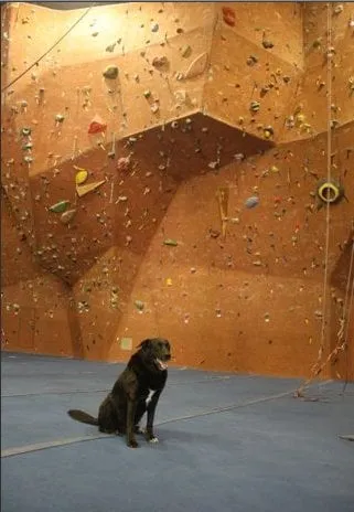 Slide of Roger Cox AC & Heating