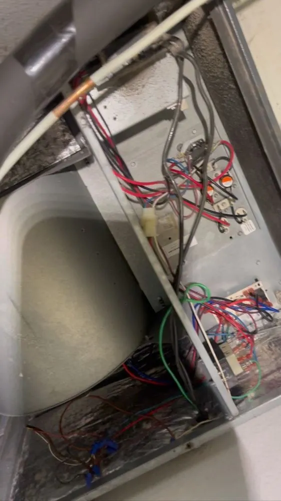 Slide of Rolando’s Helping Hands Service