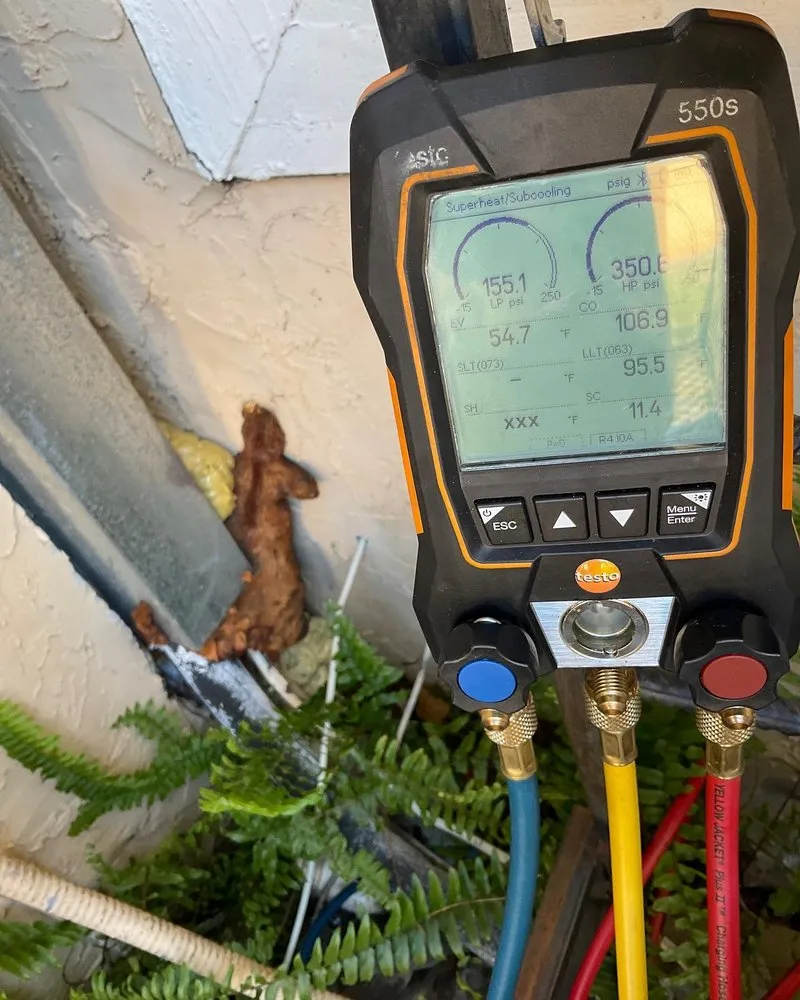 Slide of Rolando’s Helping Hands Service