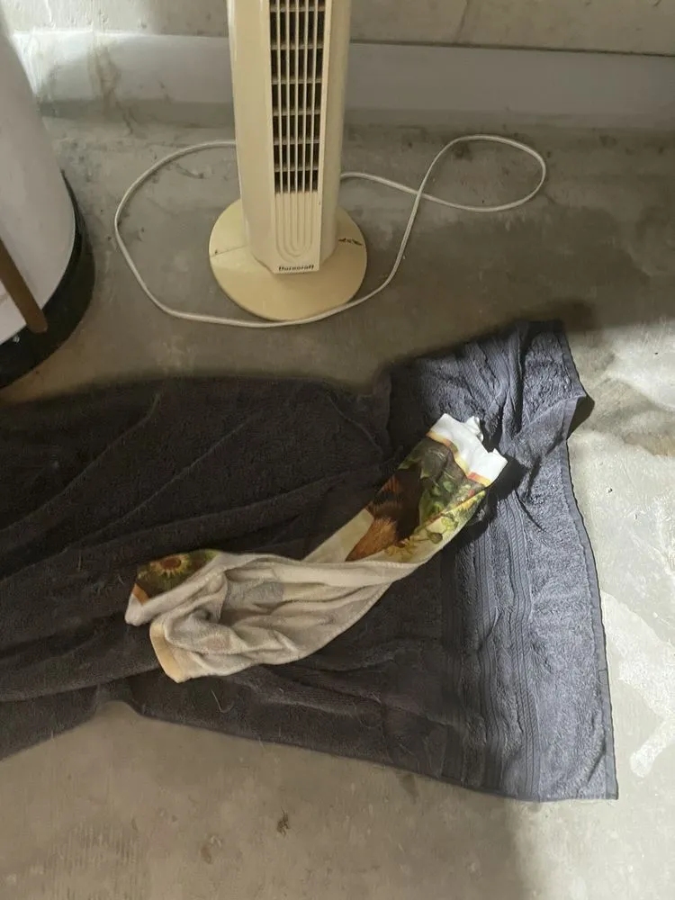 Slide of Rolf Griffin Service Experts