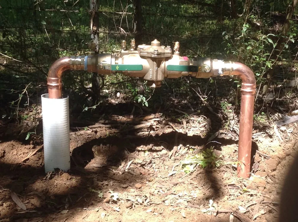 Slide of Ron Williams