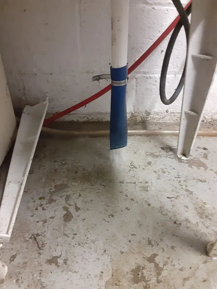 Slide of Rooter Plus