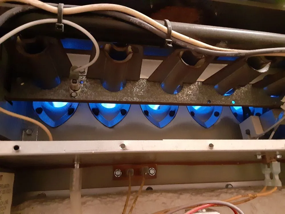 Slide of Rooter Plus