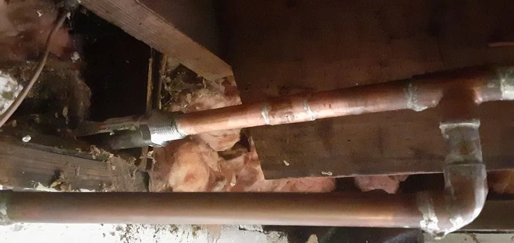 Slide of Rooter Plus