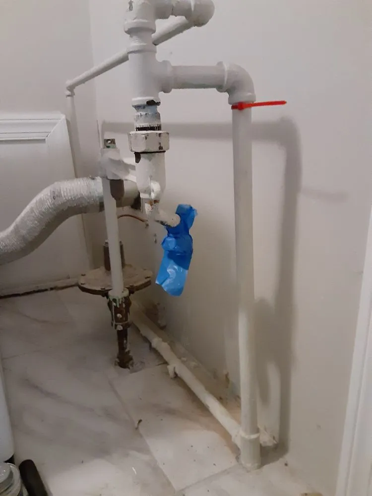 Slide of Rooter Plus