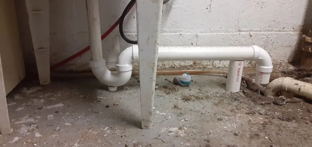 Slide of Rooter Plus