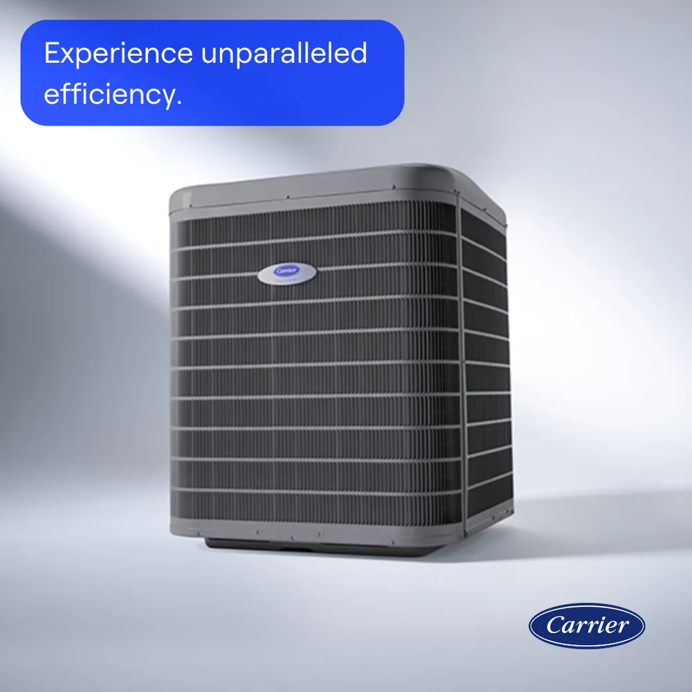 Slide of Rose Heating