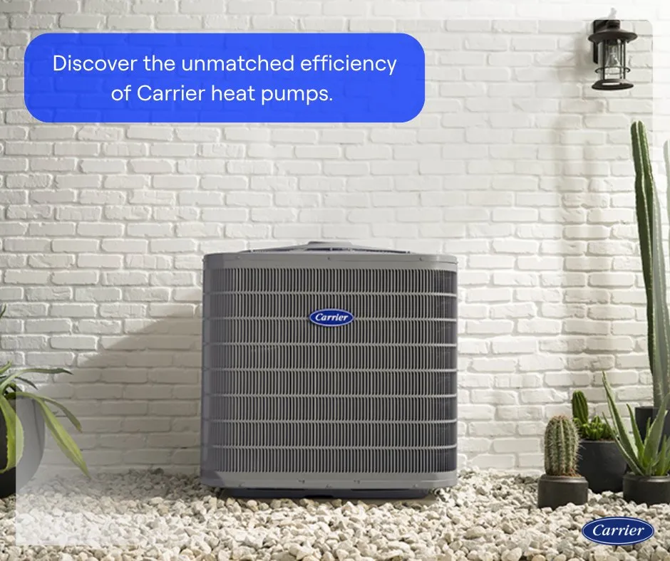 Slide of Rose Heating