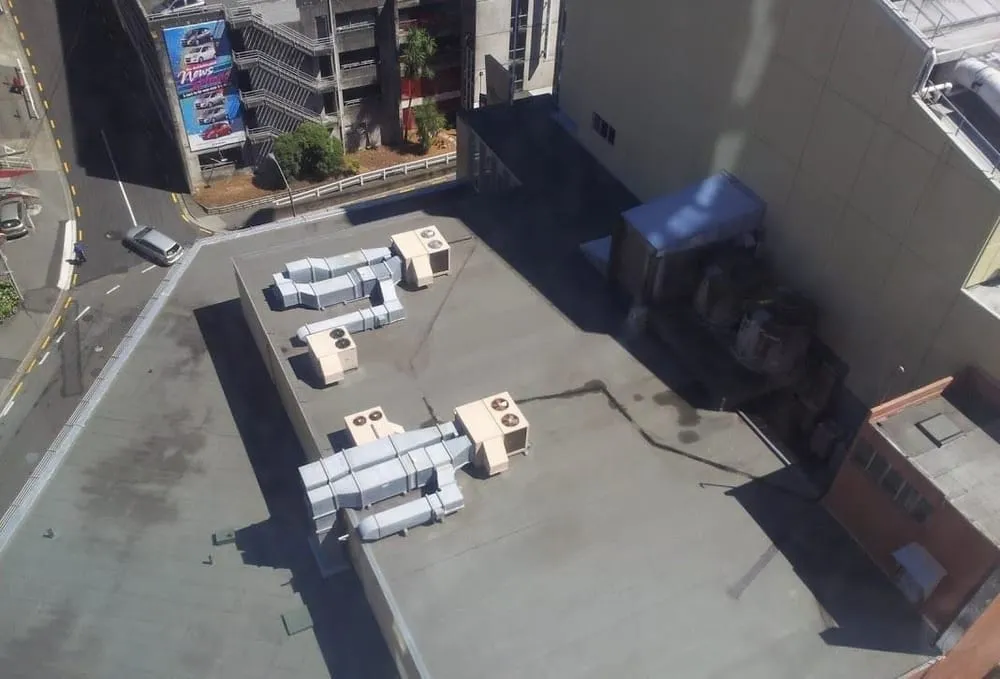 Slide of Ross & Witmer