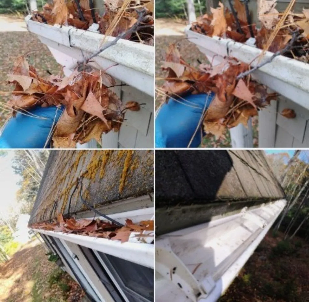 Slide of Ross Tech 360