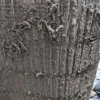 Slide of Rotunda HVAC