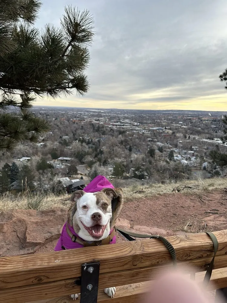 Slide of Royal Flush Plumbing & Hvac Services