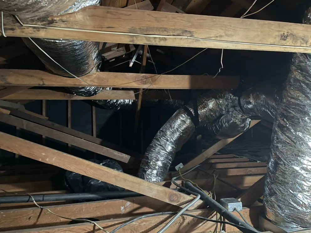 Slide of Royal Heir & Heating