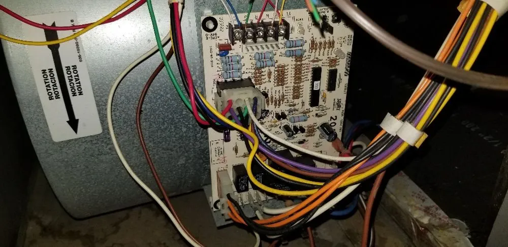 Slide of Royal Panda Repair