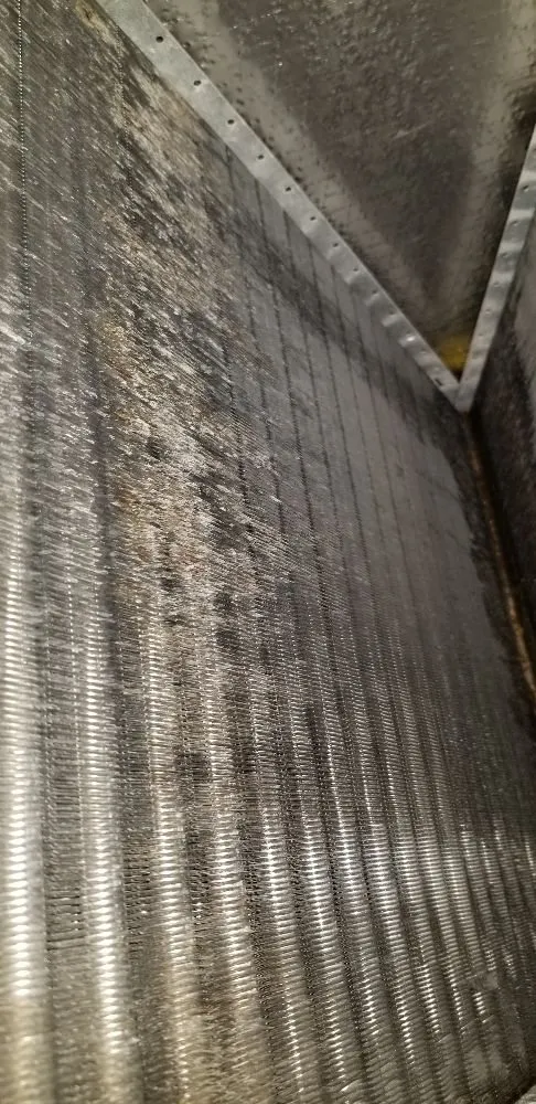 Slide of Royal Panda Repair