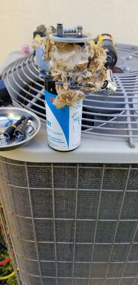 Slide of Royal Panda Repair