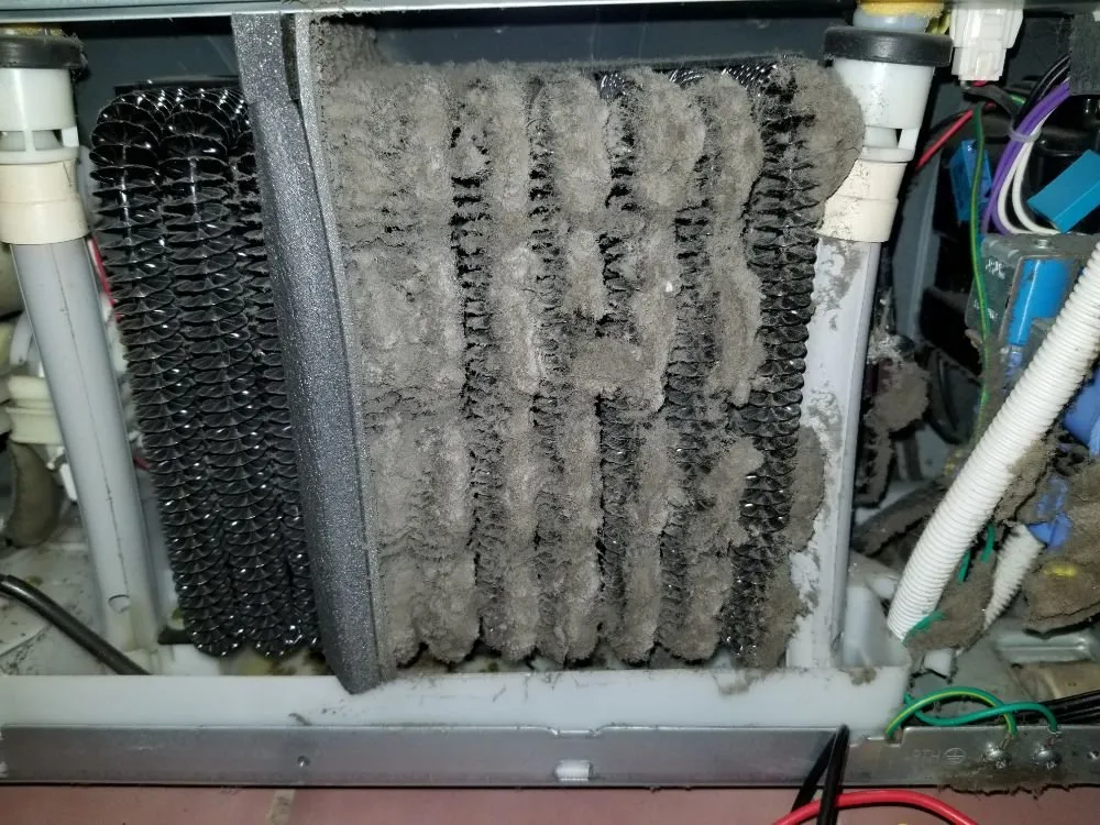 Slide of Royal Panda Repair