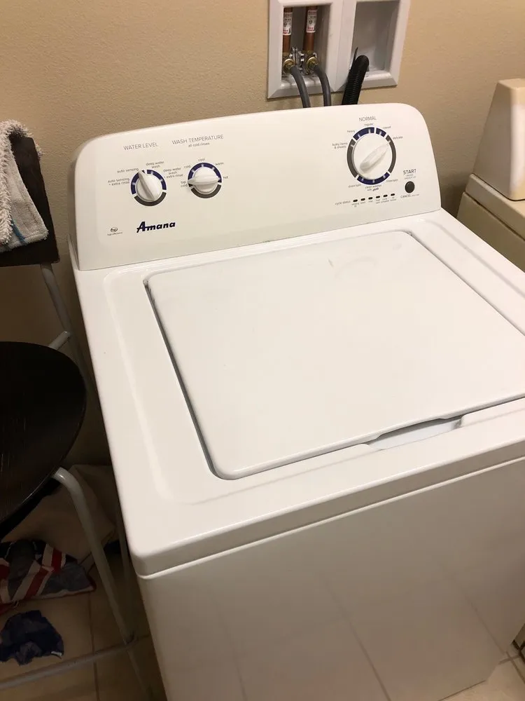 Slide of Royal Panda Repair