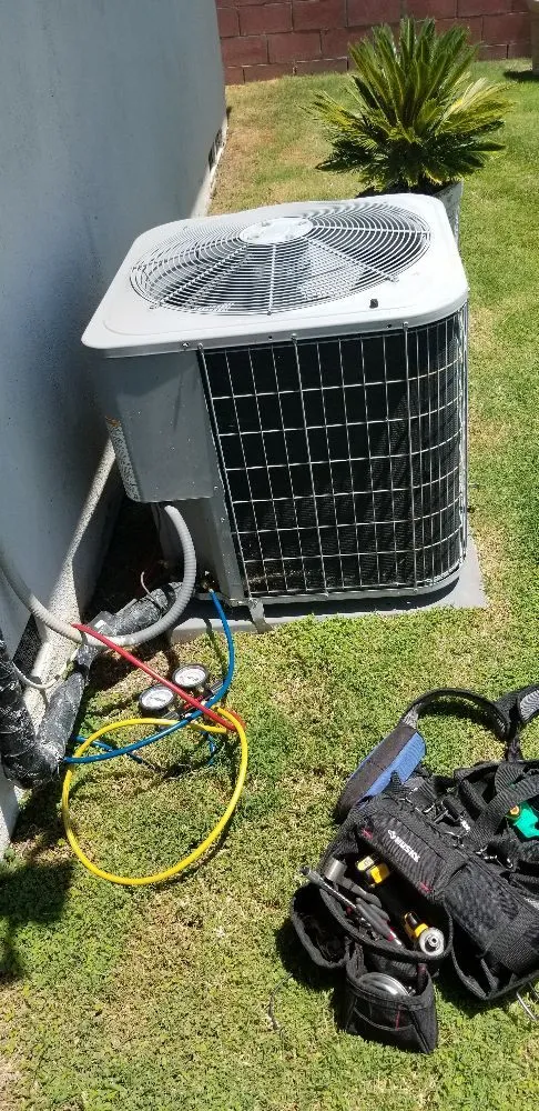 Slide of Royal Panda Repair