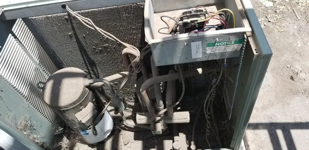 Slide of Royal Panda Repair