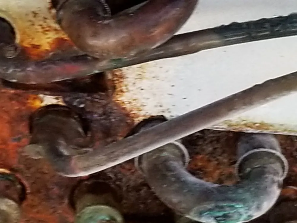 Slide of Royal Panda Repair