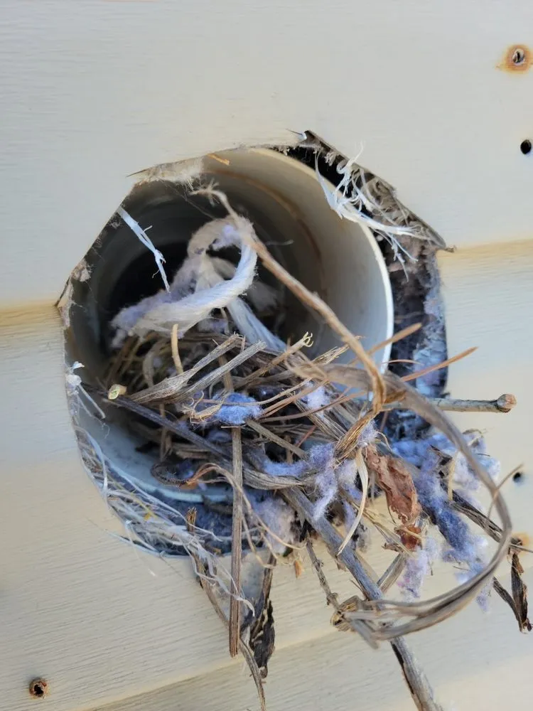 Slide of Royal Vent Cleaning