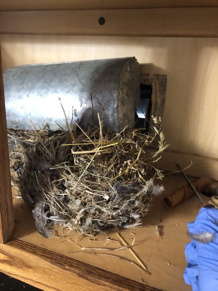 Slide of Royal Vent Cleaning