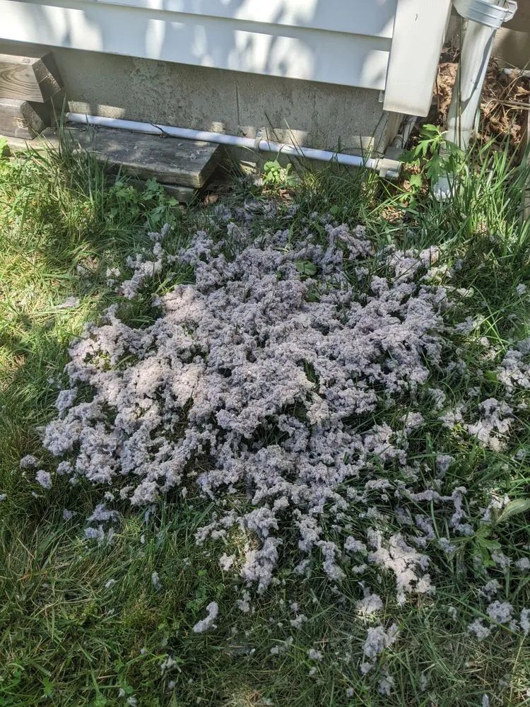 Slide of Royal Vent Cleaning