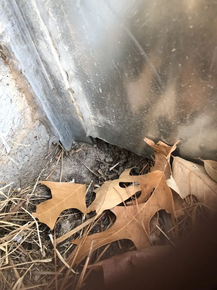 Slide of RS Andrews of Tidewater