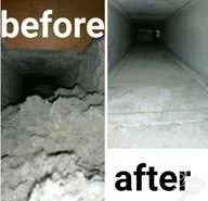 Slide of Ruddy Ducts and Maintenance