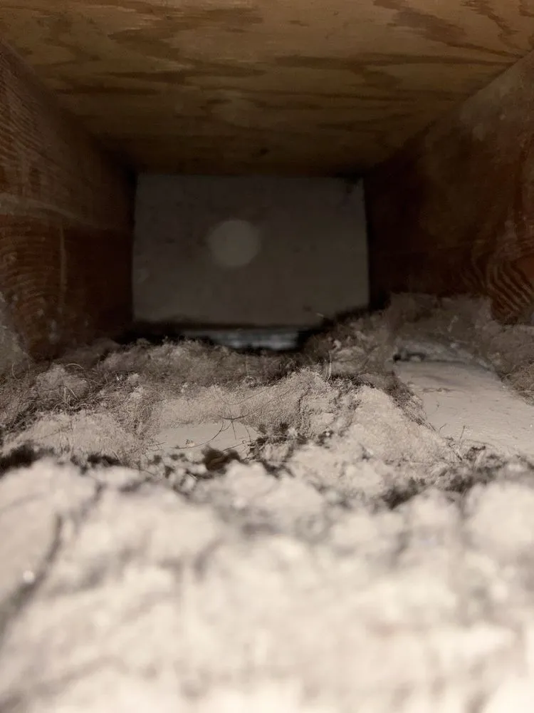 Slide of Ruddy Ducts and Maintenance