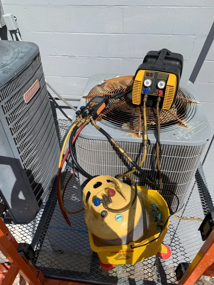 Slide of Rudy and Design