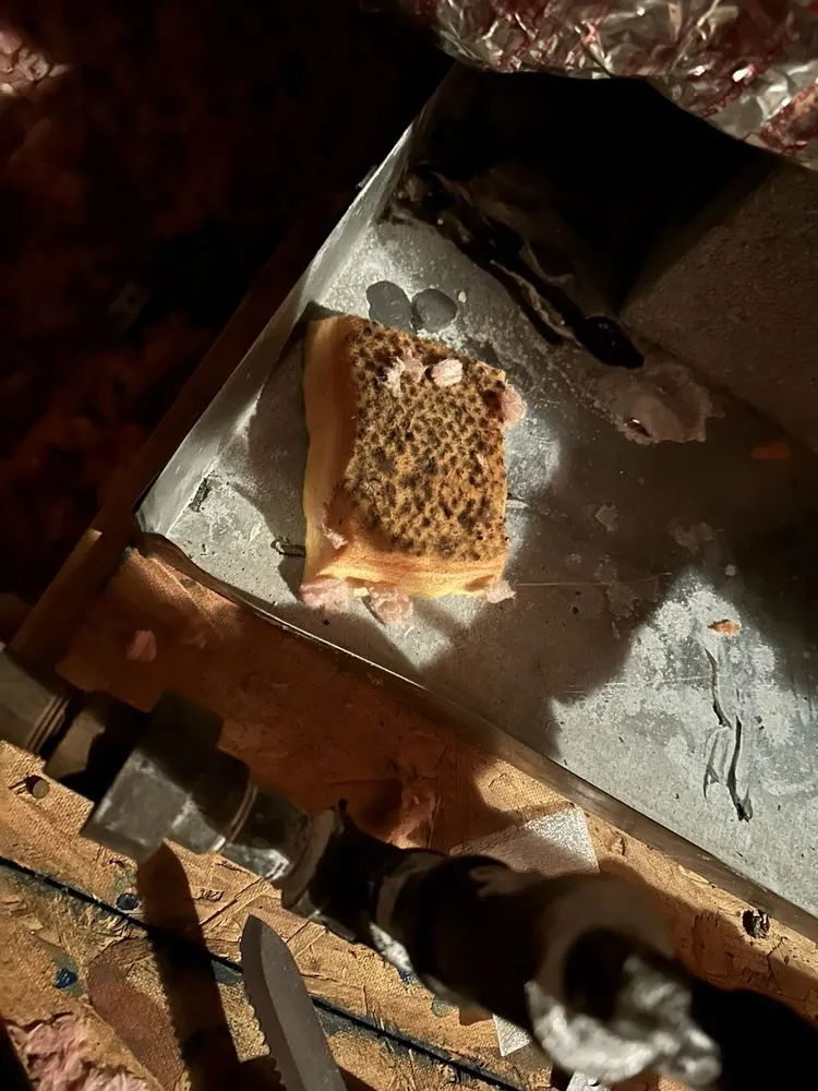 Slide of Rudy Cools Heating & Air