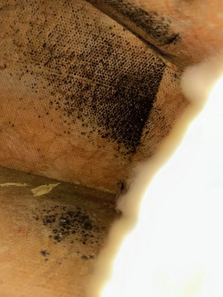 Slide of Rudy Cools Heating & Air